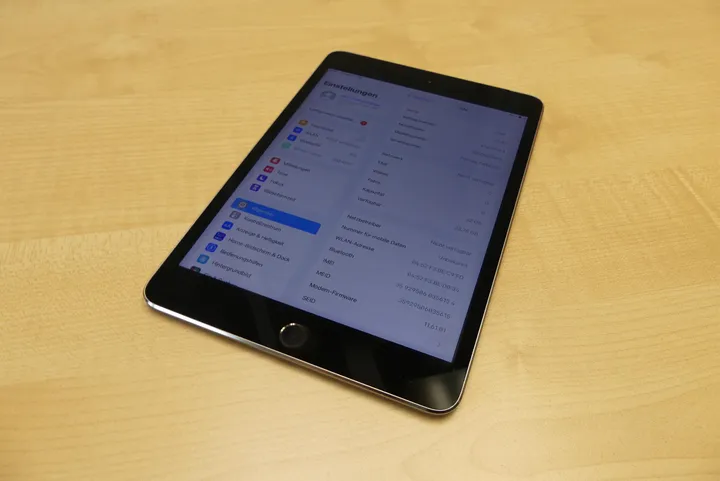 Apple - iPad mini 4 - 32 GB